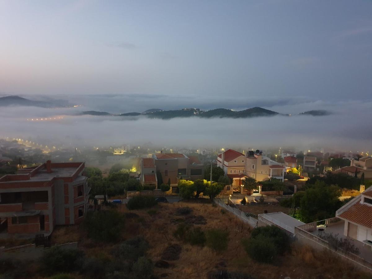 "Stergiou Luxury Apartments" Με Κοινη Πισινα Saronida Exterior foto